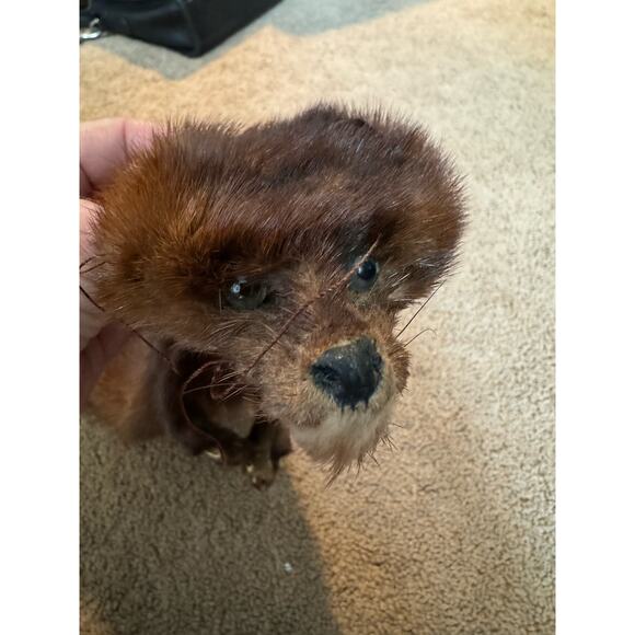 TANNED MINK PELT 29” Scarf Drape Stole Wrap Collar Natural Leather Taxidermy - Picture 14 of 16